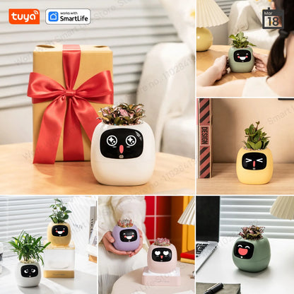 Smart Plant Robot multiple colors